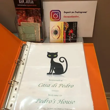 La Casa Di Pedro 公寓 圣马里亚卡普阿韦泰雷