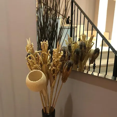 La Casa Di Pedro 公寓 *